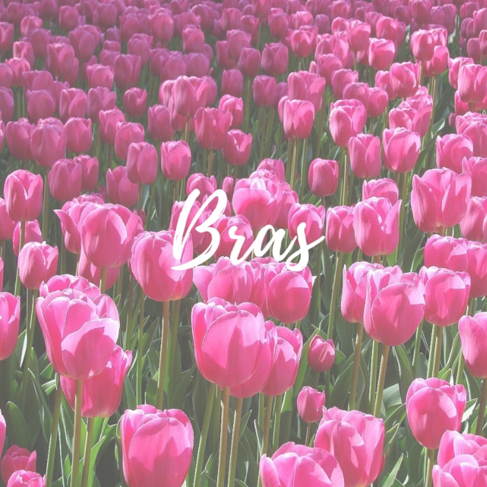 Bras
